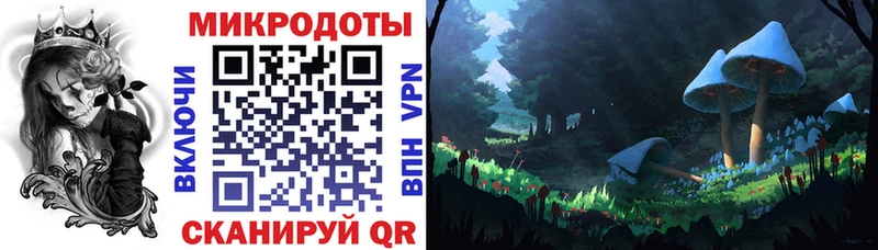 купить   Калтан  Галлюциногенные грибы Cubensis 